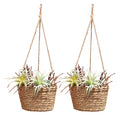 Woven Plant Basket Indoor Hanging 2 pack Cotton Rope，for decoration purposes, as flower pot holders(Plant Not Included)(Coffee)