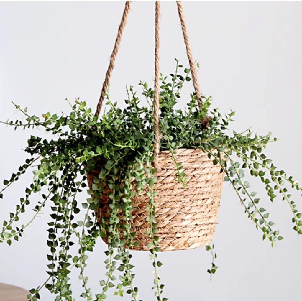 2 Pack Jute Rope Hanging Planter Basket,Rattan Woven Plant Hanger, Rattan Hanging Planter Macrame Plant Hanger, Flower Pot Holder for Garden, Outdoor, Indoor.